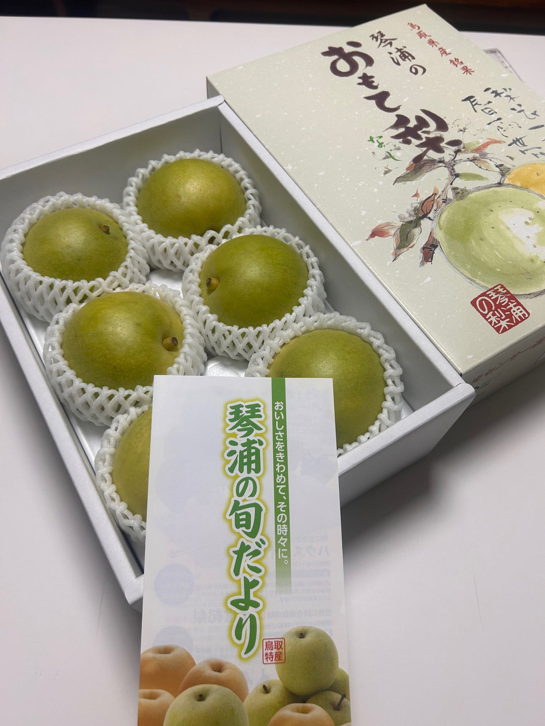 おもて梨！の隣町、奥出雲葡萄園
