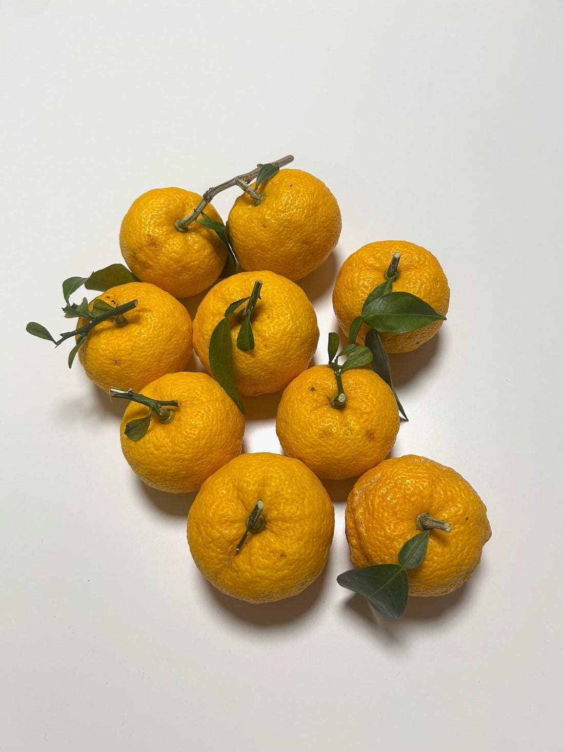 実家の柚子が豊作で。。また、ゆず。。ｗ