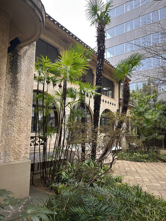 九段ハウスでの展覧会の、勝手な感想文と展示風景♪