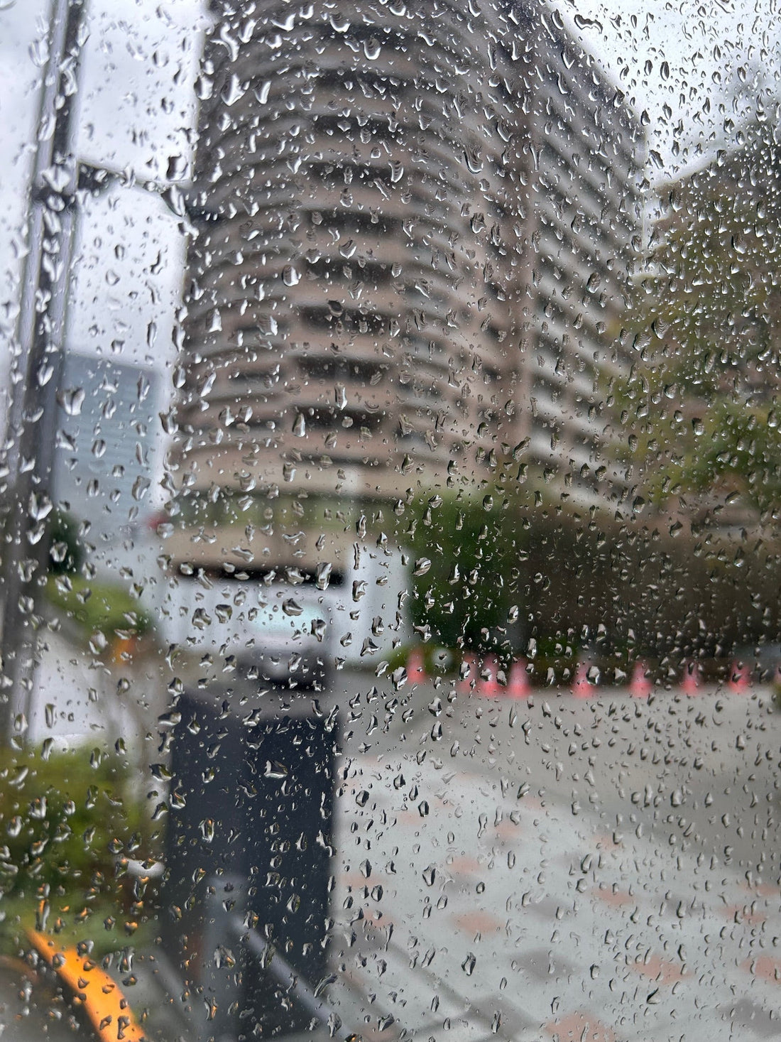３月最後の日は大雨でした💦
