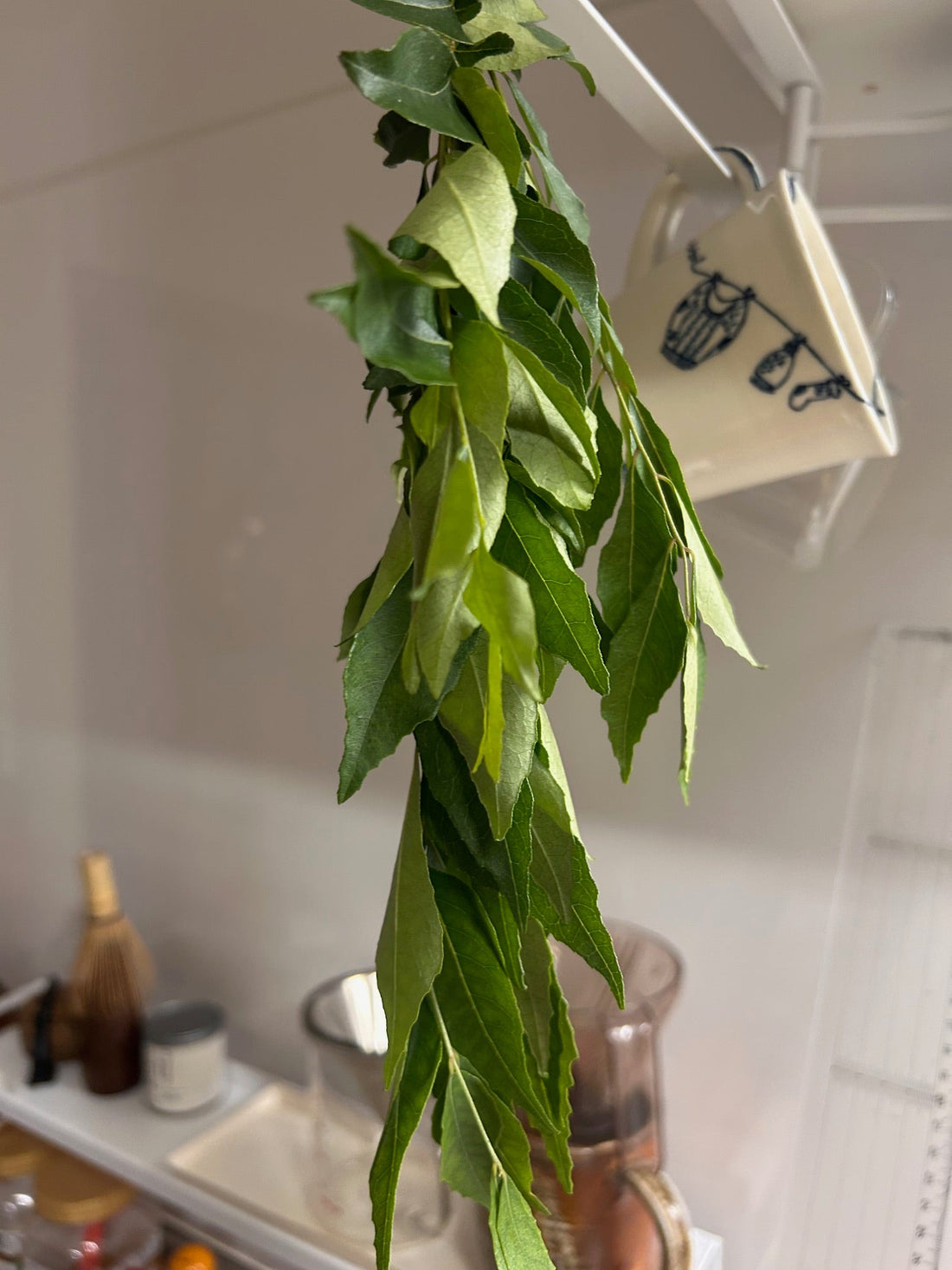 インド料理おさらい３！（ヨーグルトカレー）