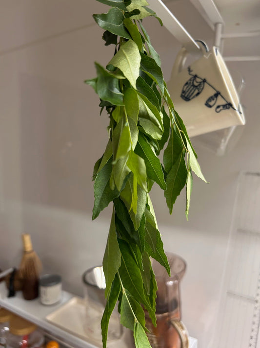 インド料理おさらい３！（ヨーグルトカレー）