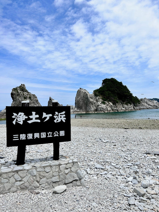 それは、ノアの箱舟だった