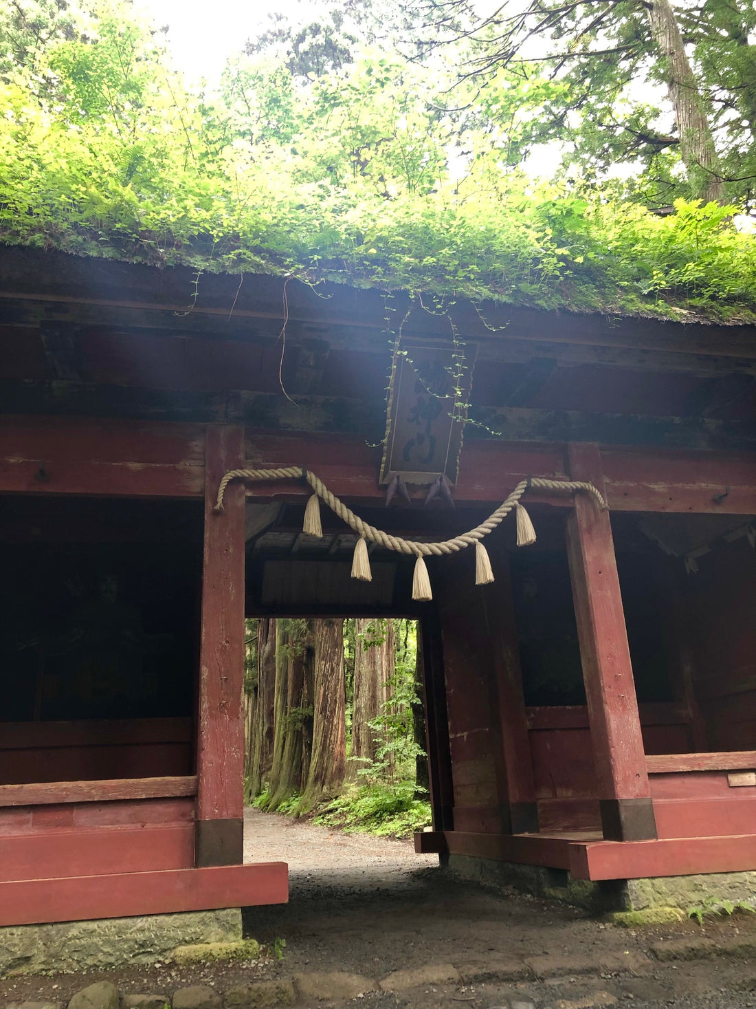 2泊３日の旅★雨の戸隠神社