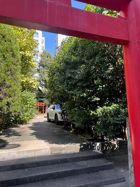燃えていて、大変ご無沙汰しておりますm(__)m
