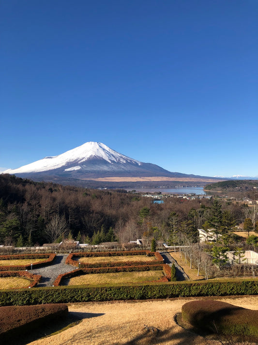 １２月激動の日々【12/7 アッ晴れて、富士山！めざせ河口湖‼】